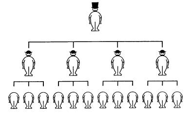 Карикатурный вариант иерархической структуры (MANS Association)